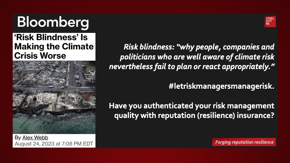 Risk blindness: “why people, companies and politicians who are well aware of climate risk nevertheless fail to plan or react appropriately.”